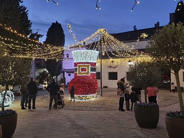 Illecas ha publicado las diferentes actividades de su programa de navidad