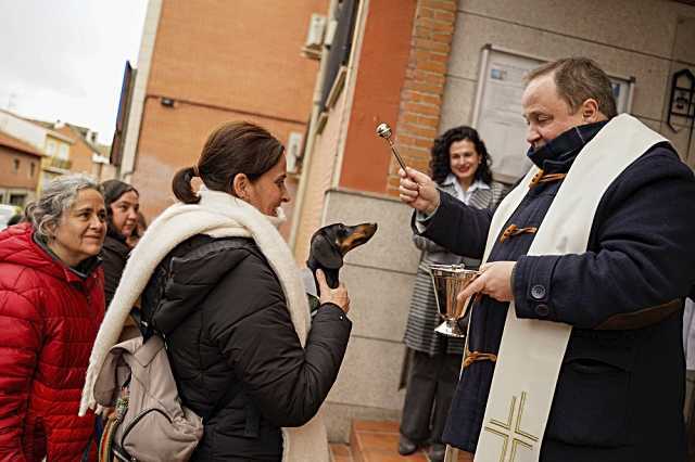 Colmenar Viejo se prepara para la bendición de mascotas en la festividad de San Antón