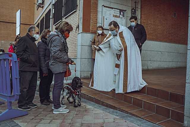 Ávila celebra un fin de semana lleno de actividades deportivas y culturales en honor a San Antón