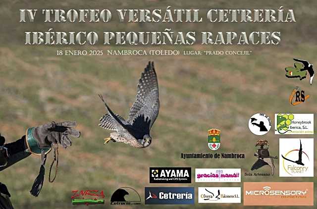 Nambroca celebra el IV Trofeo Versátil de Cetrería Ibérico Pequeñas Rapaces