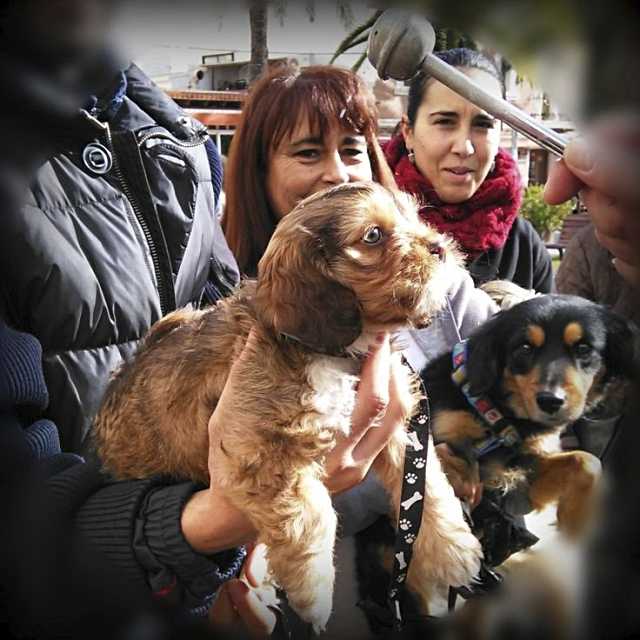 Tres Cantos celebra el día de San Antonio Abad con la bendición de mascotas