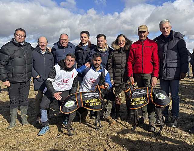 La consejera de Agricultura apoya el Campeonato de España de Galgos en Madrigal de las Altas Torres