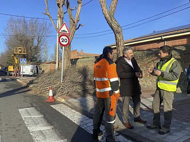 Se están realizando labores de poda en todos los espacios verdes de la ciudad