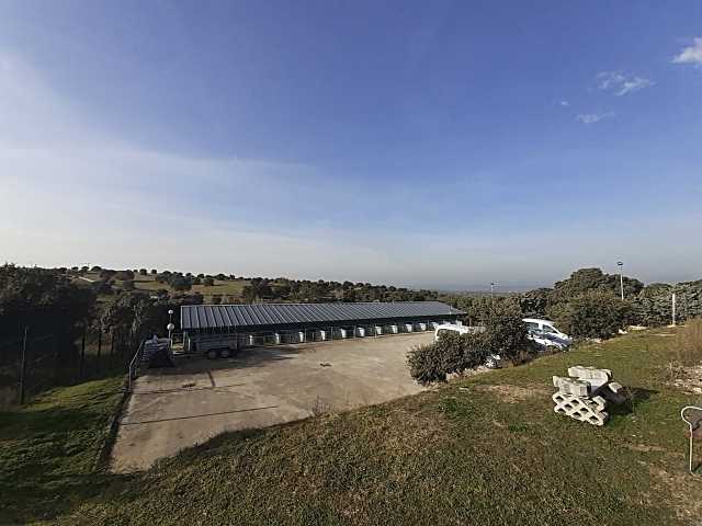 El CICAM de Majadahonda recibió 94 perros y 255 gatos durante un año