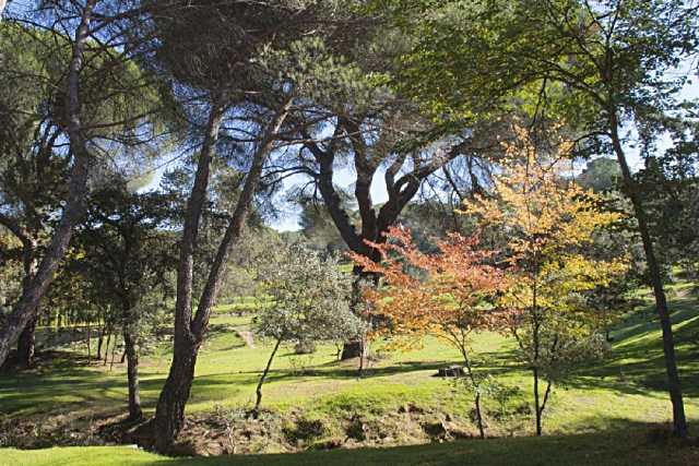 El Ayuntamiento de Majadahonda integra el Patronato del Monte del Pilar en el área de Medio Ambiente