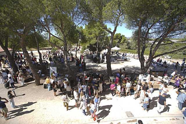 Actividades familiares que fomentan la sensibilización ambiental en Las Rozas
