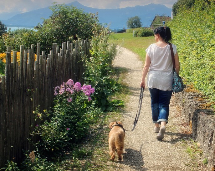 ¿Sabías que tus huesos y tu estado de ánimo están en peligro?