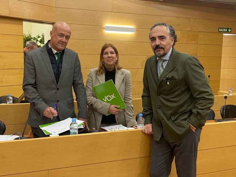 Grupo Municipal de Vox