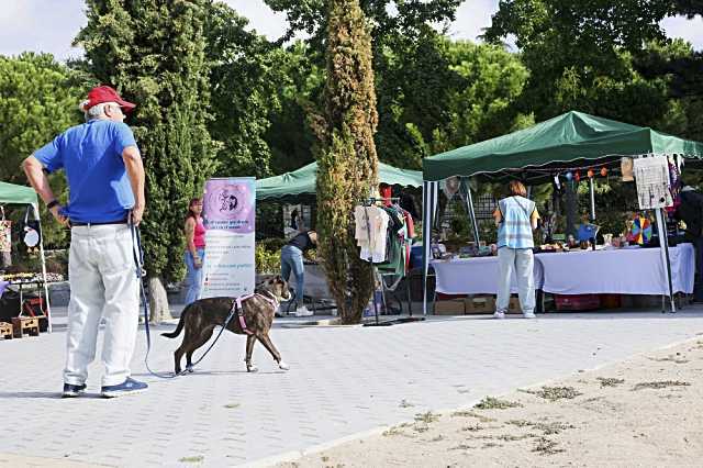 La 8ª Jornada de Adopción de Animales se celebrará el 20 de septiembre en el Parque ‘El Mirador’