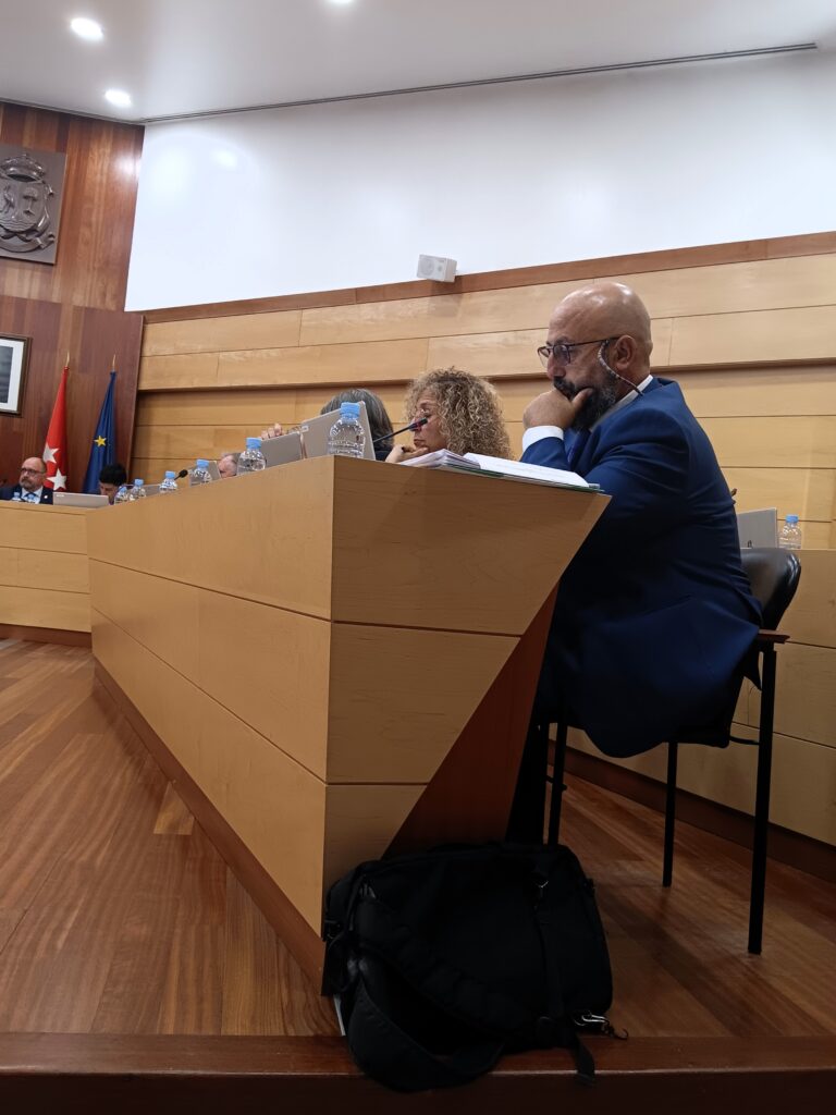 Portavoz de Más Madrid