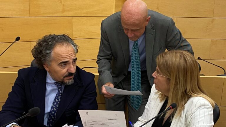 Grupo Municipal de Vox