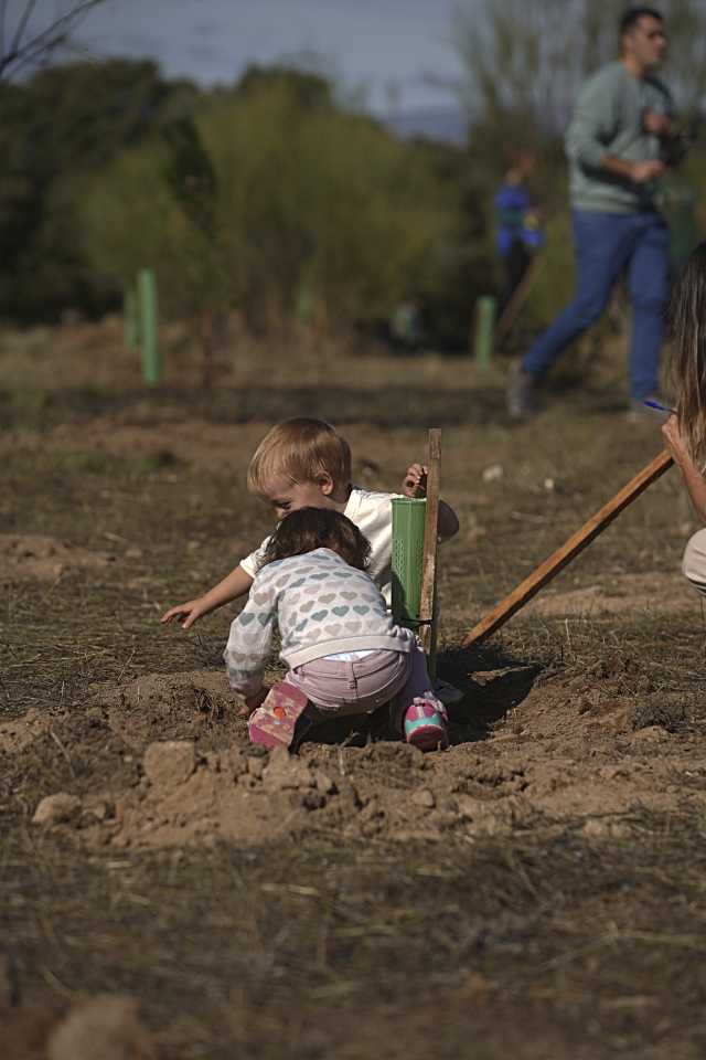 Abierto el período de solicitudes para el cheque de 1.000 euros en Las Rozas