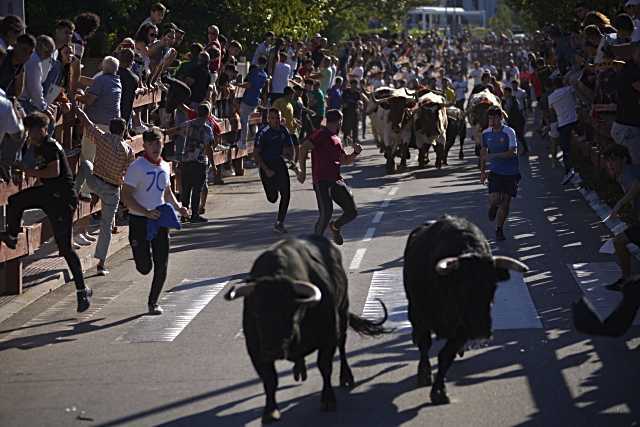 Fiestas de San Miguel 2025 incluirán eventos musicales y actividades familiares