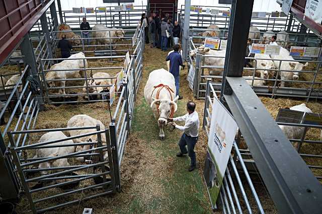 El Mercado Directo de Productores se celebrará en Colmenar Viejo el 18 y 19 de octubre