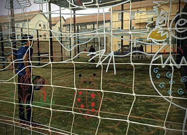 Campaña de sensibilización sobre protección de aves en pistas de pádel