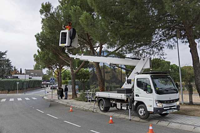Inicio del Plan de Poda del arbolado urbano 2025–2026 en Boadilla