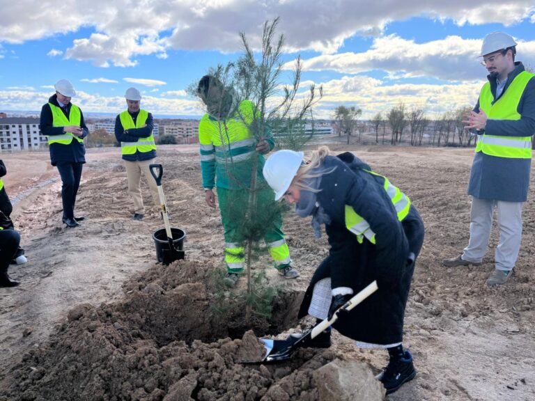 parque forestal princesa leonor