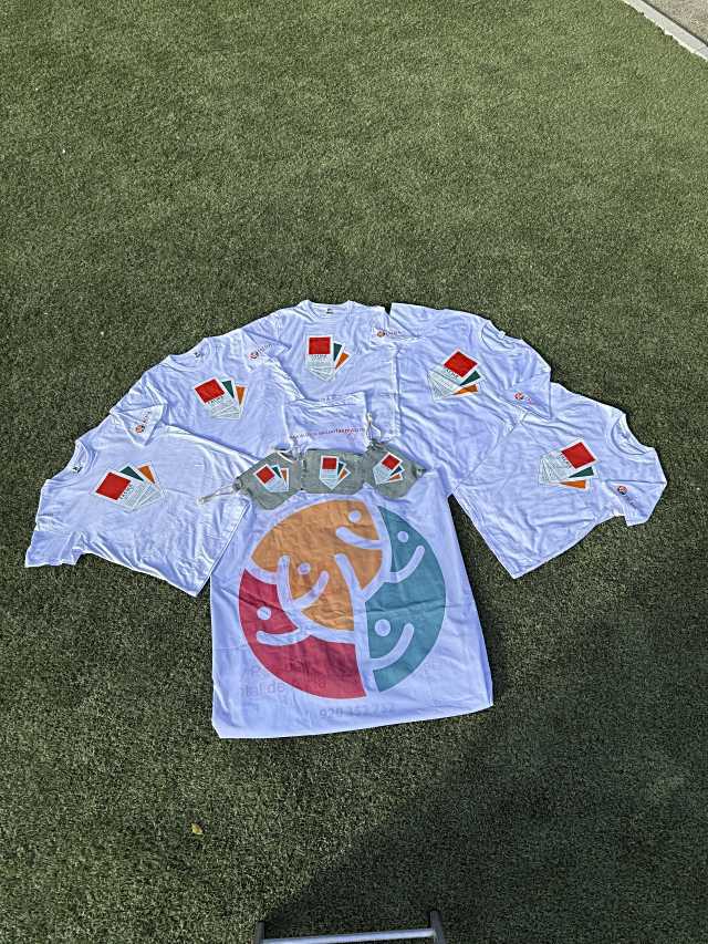 La Diputación de Ávila renueva acuerdo con Faema para promover la salud mental juvenil