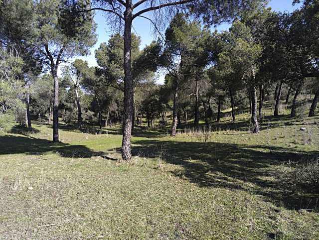 La Comunidad de Madrid invierte en el saneamiento de La Dehesa en Majadahonda