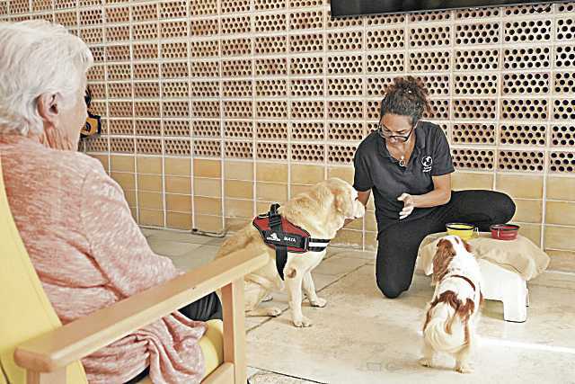 Increíble pero cierto. Estas terapias con perros están cambiando la forma en que los ancianos viven el presente