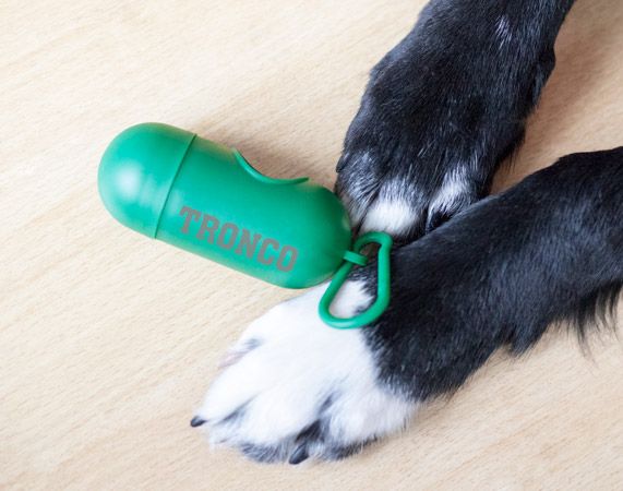 Clausura de la campaña ‘¡Que la bolsa te acompañe!’ en Las Rozas