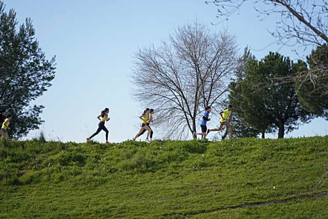 Comienza el periodo de inscripción para el Cross Escolar 2026 en Colmenar Viejo