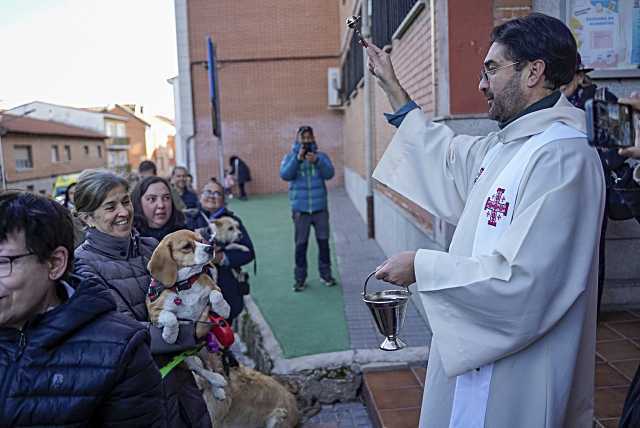 Colmenar Viejo celebra la bendición de mascotas en honor a San Antón