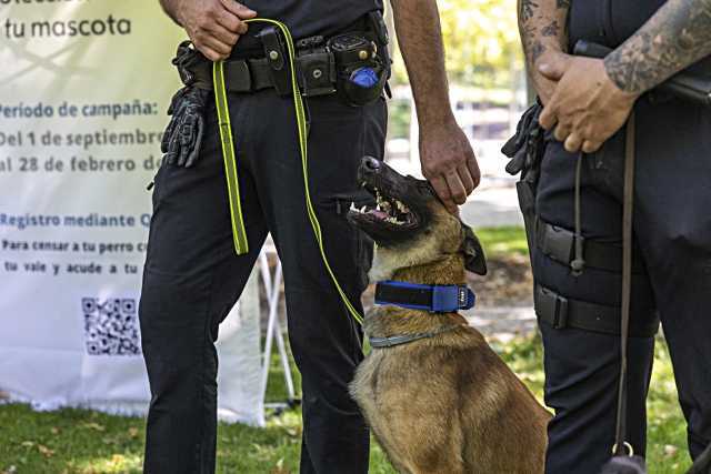 La iniciativa ‘Soy de Tres Cantos, lo llevo en el ADN’ se convierte en modelo para Roma