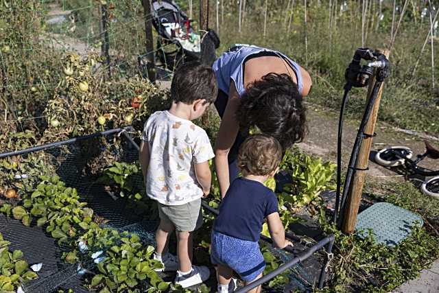 El sorteo público para huertos urbanos en Tres Cantos se celebrará el 17 de febrero