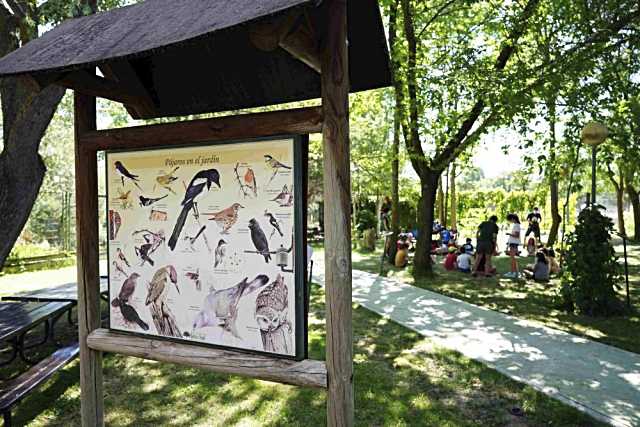 Brinzal organiza una jornada sobre aves rapaces nocturnas en San Sebastián de los Reyes