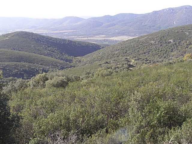 Parlamentarios europeos analizan en Toledo la protección ambiental del Parque Nacional de Cabañeros