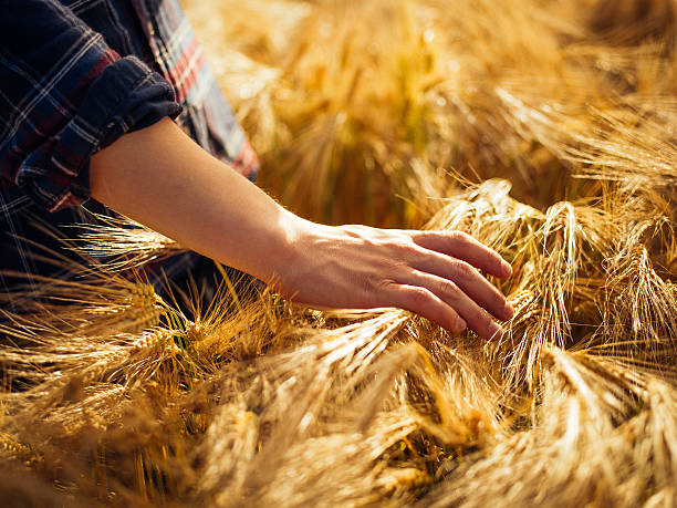 La Junta de Castilla y León inicia el período de solicitudes para la PAC 2026