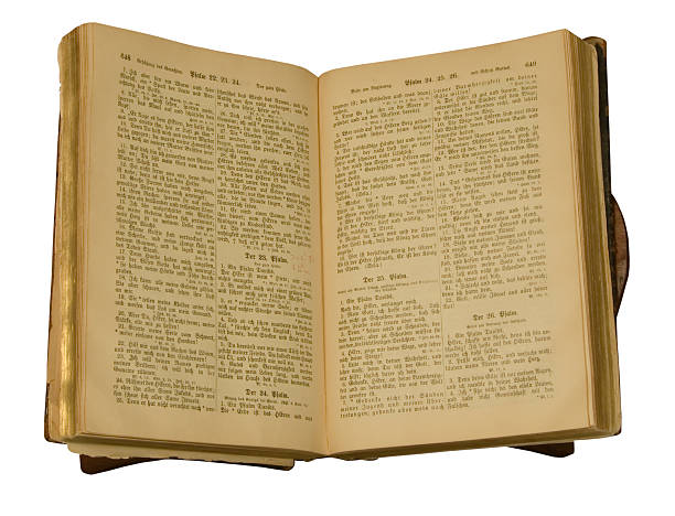 San Sebastián de los Reyes celebrará la segunda Lectura Continuada de Don Quijote de la Mancha