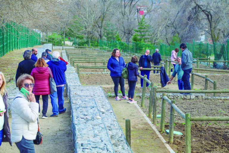 El Ayuntamiento de Alcobendas inicia la entrega de huertos urbanos para fomentar la comunidad