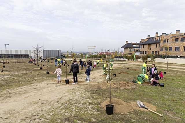 Abierto el periodo de inscripción para la plantación de árboles en honor a bebés nacidos en 2025