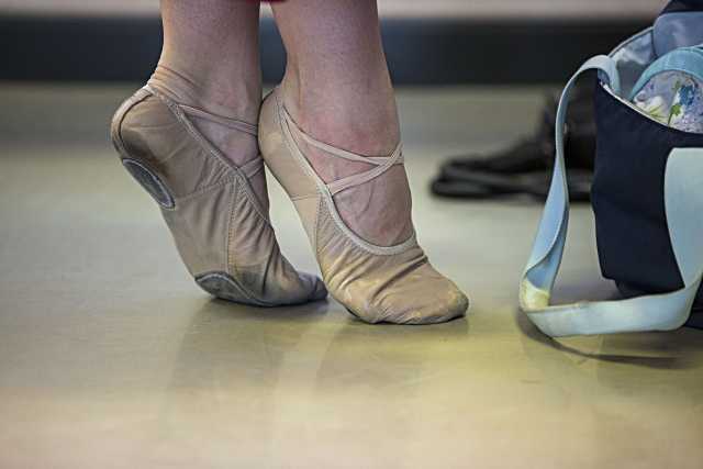 La Semana Cultural de Las Rozas ofrece una variedad de 60 actividades educativas y artísticas