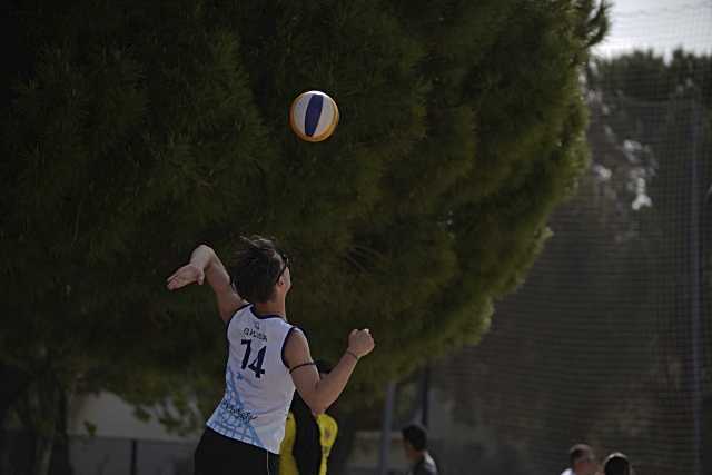 Actividades culturales en Las Rozas para toda la semana