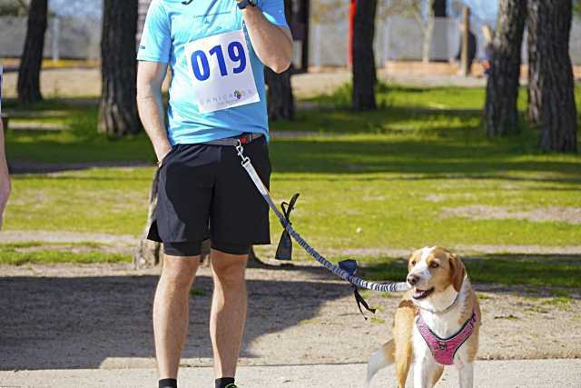 Las Rozas celebra un fin de semana lleno de actividades familiares y culturales