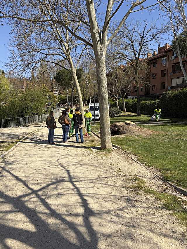 Las Rozas inicia un plan urgente para mejorar el Parque París