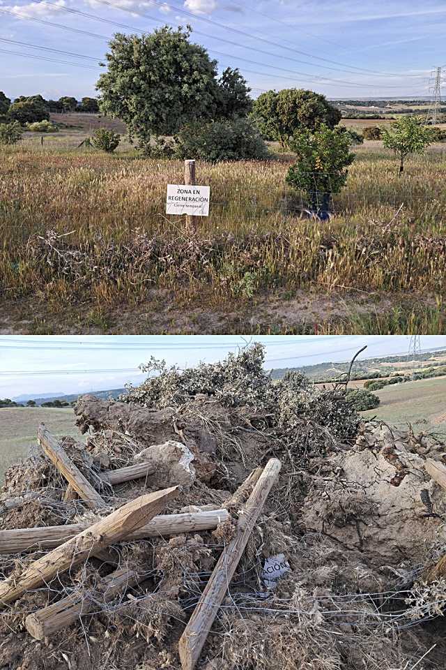 Concentración ciudadana en San Sebastián de los Reyes contra las obras destructivas del patrimonio natural
