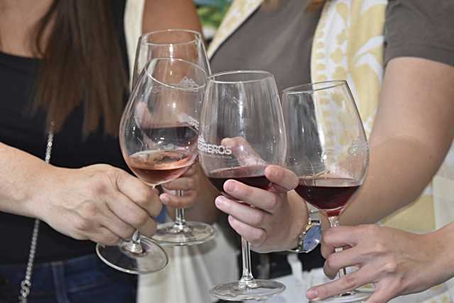 VinyTávila Wine Fest: Vinos D.O.P. Cebreros