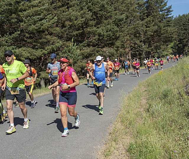 La Media Maratón por la Naturaleza se celebrará el 13 de junio de 2026 en Hoyos del Espino
