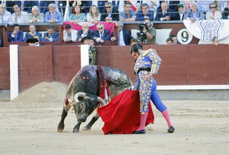 Morante, Manzanares y Lorenzo brillan en un cartel de primera línea en la Corrida del Corpus de Toledo