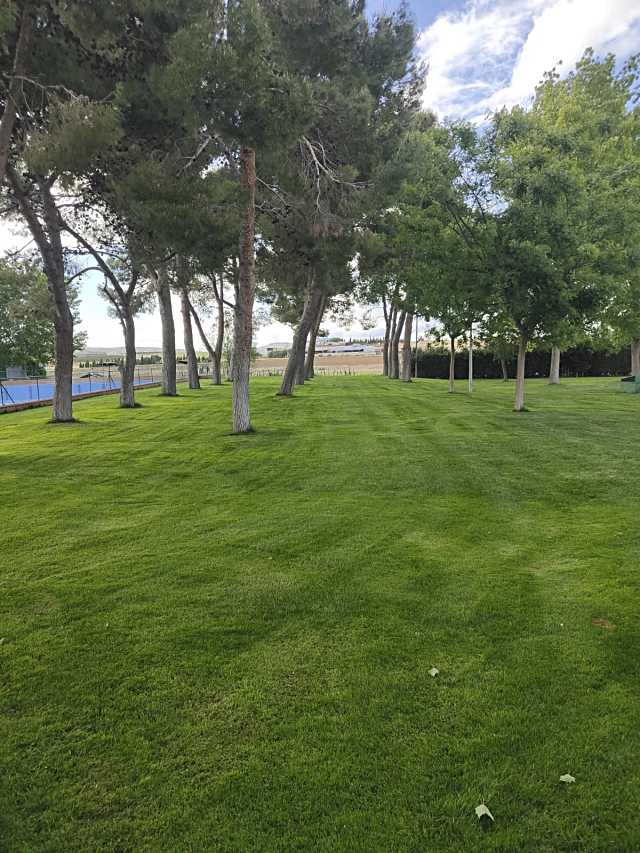 Se ultiman los trabajos de puesta a punto de la piscina municipal en Consuegra