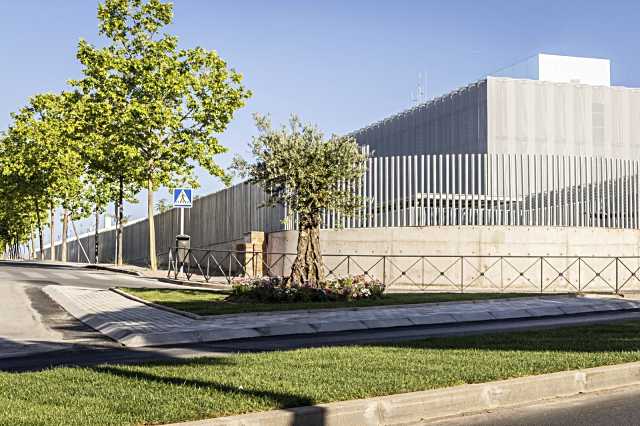 Concluyen los trabajos de ajardinamiento en la calle Ronda de Boadilla del Monte