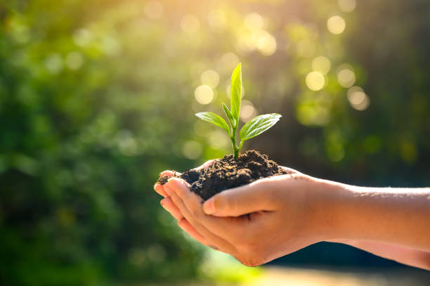 ACOM distribuye gratuitamente plantas en el Día Mundial del Medio Ambiente