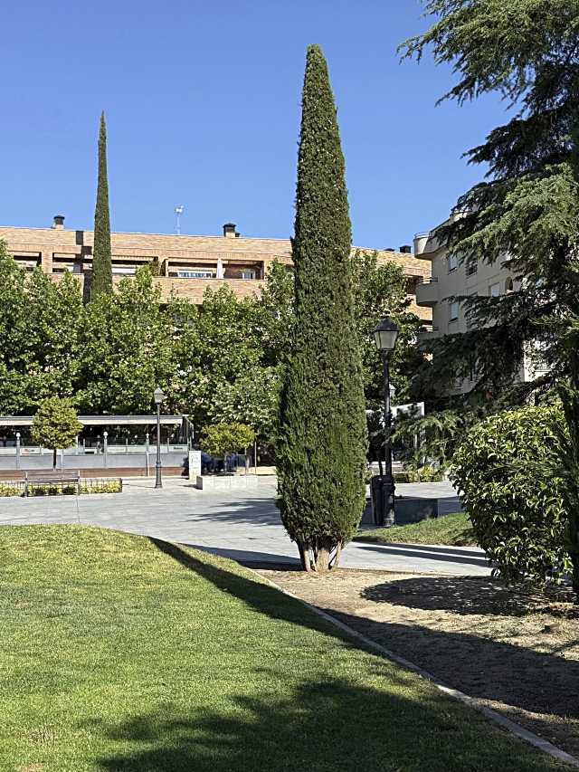 Majadahonda adjudica contrato de mantenimiento de áreas verdes