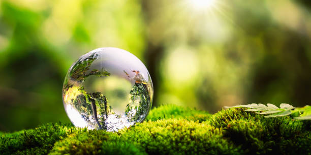 Programación de verano en el Aula Medioambiental con talleres y rutas interpretativas