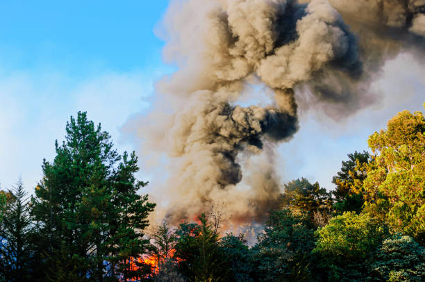 La Junta de Castilla y León extiende alerta por incendios forestales para el 24 y 25 de junio