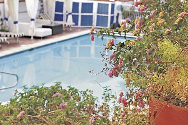 Lo que nadie te cuenta sobre el mantenimiento de piscinas: evita desastres con el calor